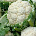 Cauliflower